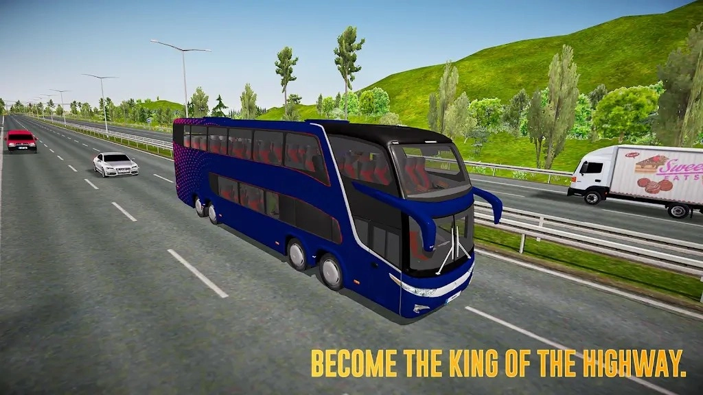终极公交司机模拟器(3)