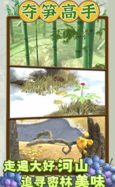 夺笋高手红包版图3