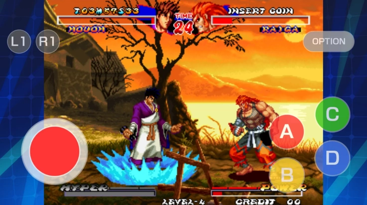 霸王忍法帖安卓手机版图4