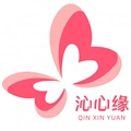沁心缘小说