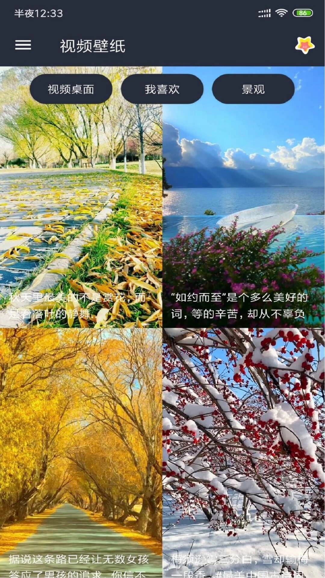 視頻壁紙手機(jī)版截圖2