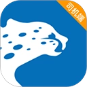 飞豹出行司机端