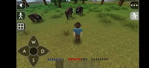 生存战争恒泰4周年免费(Hentai-4周年)1