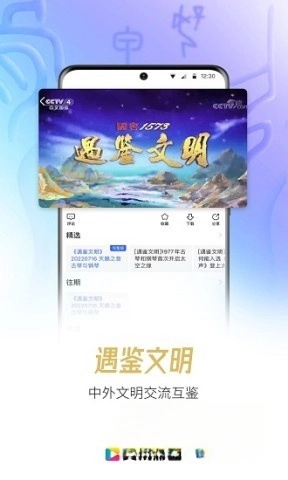 中国网络电视台(4)