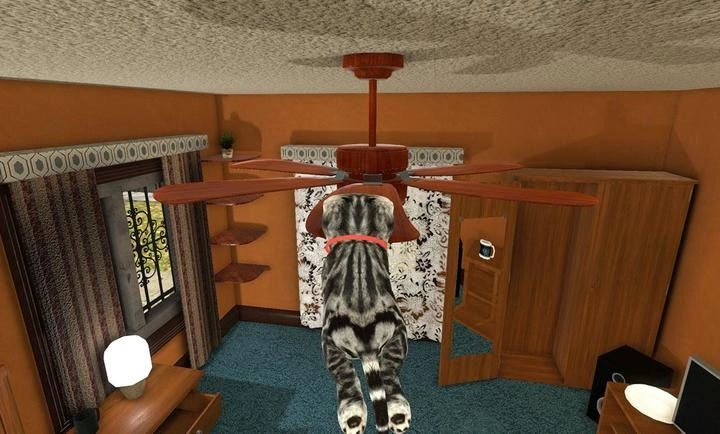 猫猫模拟器正版图4