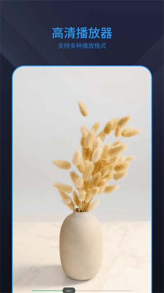 电视剧播放器图2