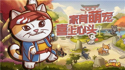 天天玩乐园截图2