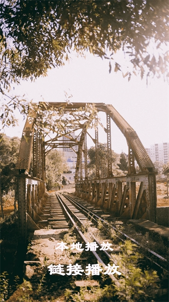 本地视频解码播放软件图2