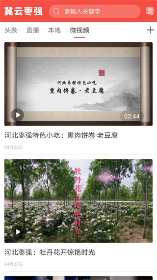 冀云枣强客户端