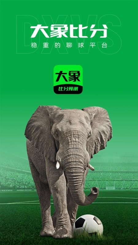 大象比分图5