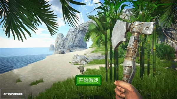 荒岛生存模拟3D安卓版图3