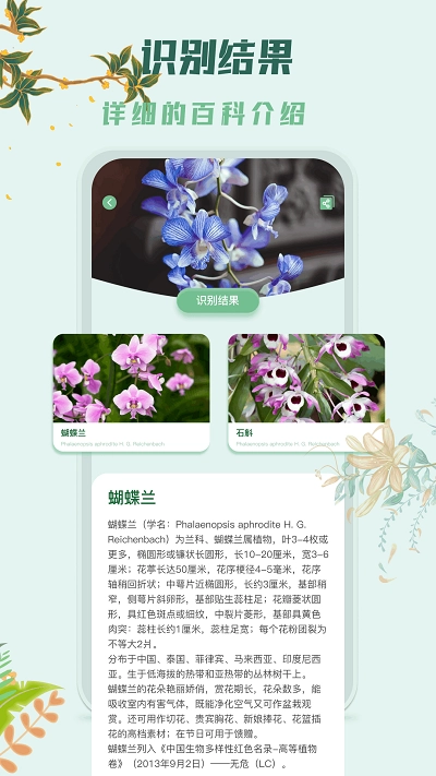 识花君拍照识别植物绿色版截图1