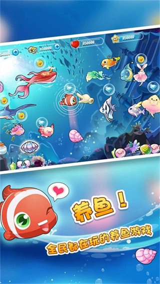 开心水族箱无限开心宝版图1