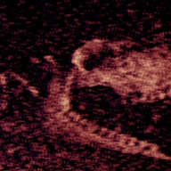 铁肺IronLung游戏正版