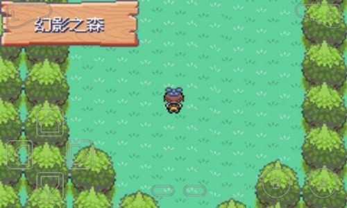 口袋妖怪漆黑的魅影ex bw神兽图2