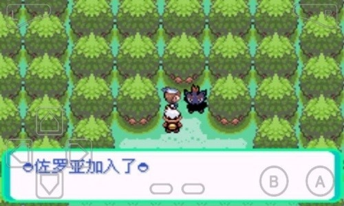 口袋妖怪漆黑的魅影ex bw神兽图3