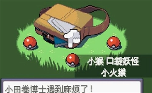 口袋妖怪漆黑的魅影ex bw神兽图5