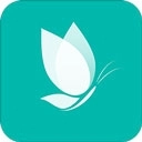 落初小说最新版