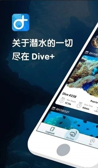 dive潜水图1