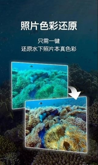 dive潜水图3