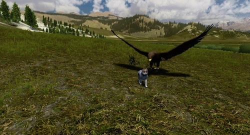 野狼謎蹤免費-截圖1