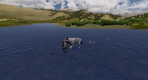 野狼謎蹤免費-截圖2