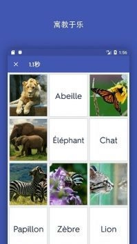 quizlet中文版(1)