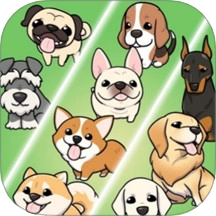 动物合成大作战