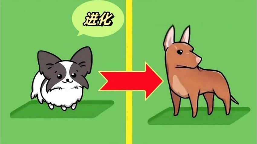 动物合成大作战截图2