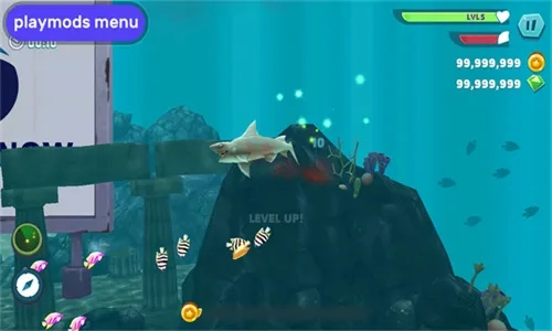 饥饿鲨进化  手机版