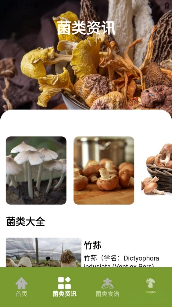 蘑菇识别手机版