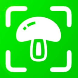 蘑菇识别手机版