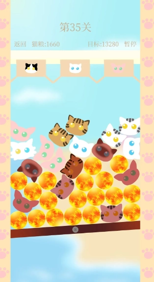 貓咪蹺蹺板-截圖3