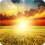 阳光高考信息平台官方版