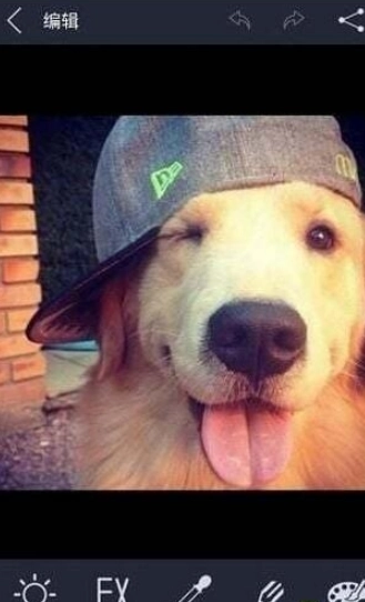 光影魔术手旧版经典版图3