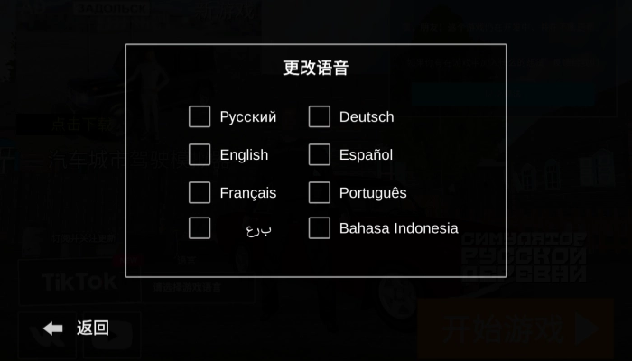 俄罗斯乡村模拟器3d(2)