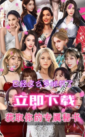 王老板的秘书们图2