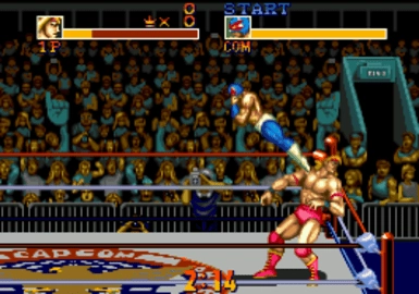 摔跤霸王2官方版图3