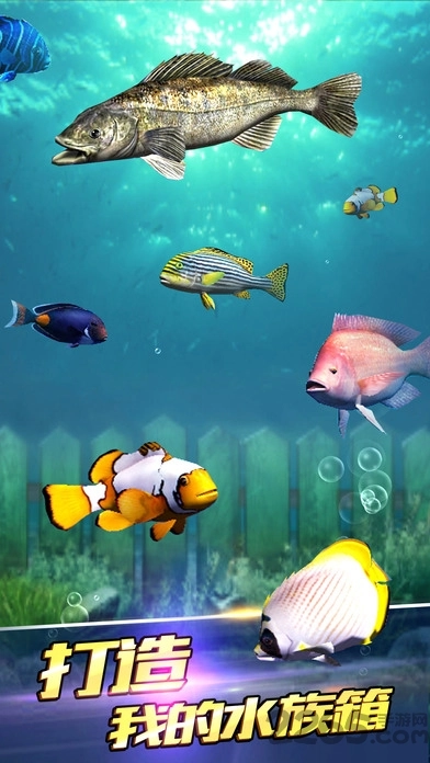 钓鱼梦想之旅手机版图3