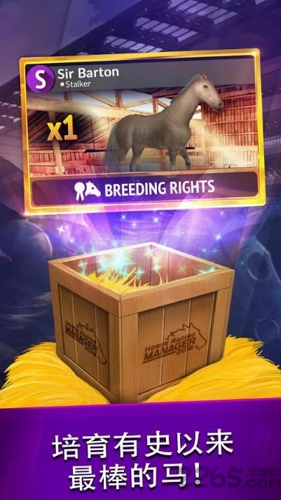 2018年度赛马经理手机版4