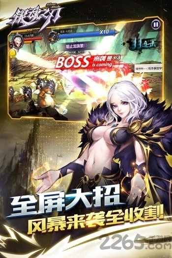 银魂之刃单机版图1