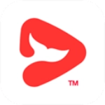 锦书在线免费版