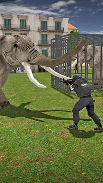 疯狂的大象游戏