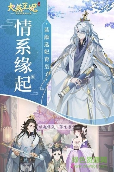 大燕王妃游戏图2