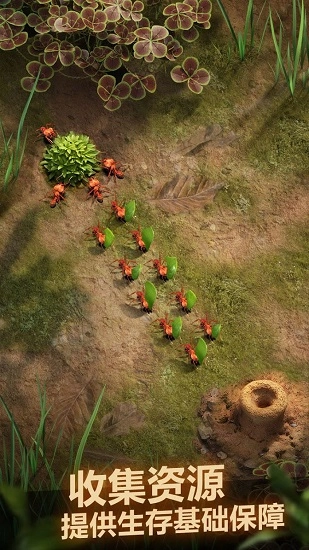 小蚁帝国最新版