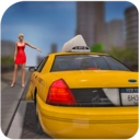 出租车运输司机