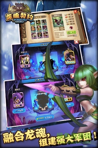龙魂契约