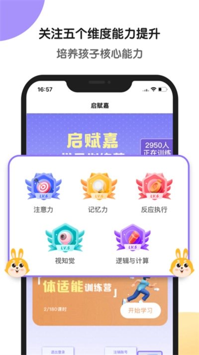 启赋嘉专注力训练图2