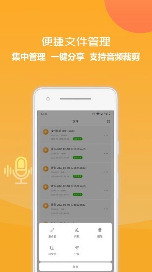 录音文字转换王图4
