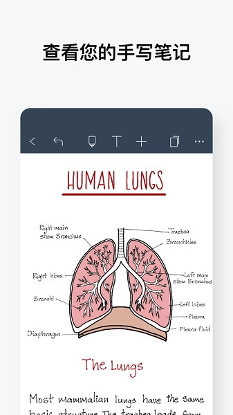 noteshelf免费版(4)